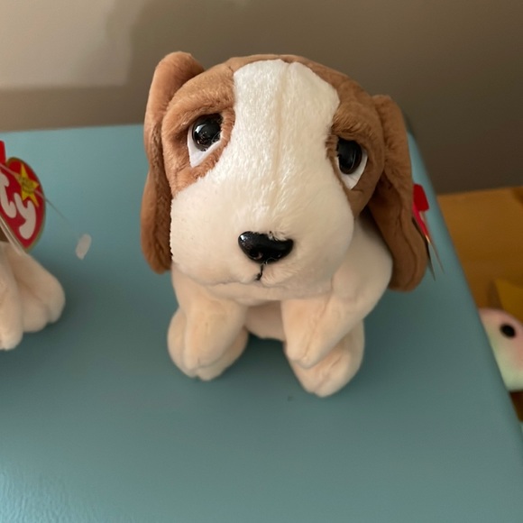 Ty Tracker * Beanie Baby * Date of Birth: June 5, 1997 * Basset Hound - Picture 1 of 13